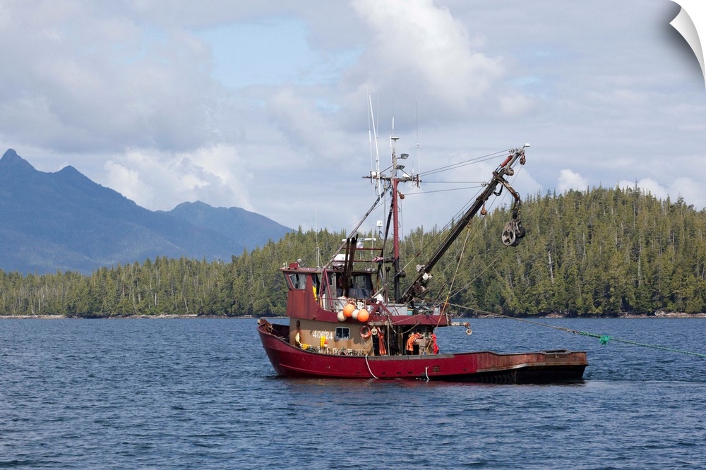 USA, Alaska, Southeast near Ketchikan, seine boats salmon fishing.
