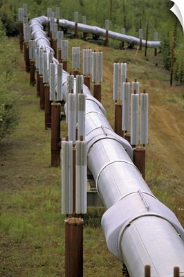Alaska, Trans-Alaskan Pipeline