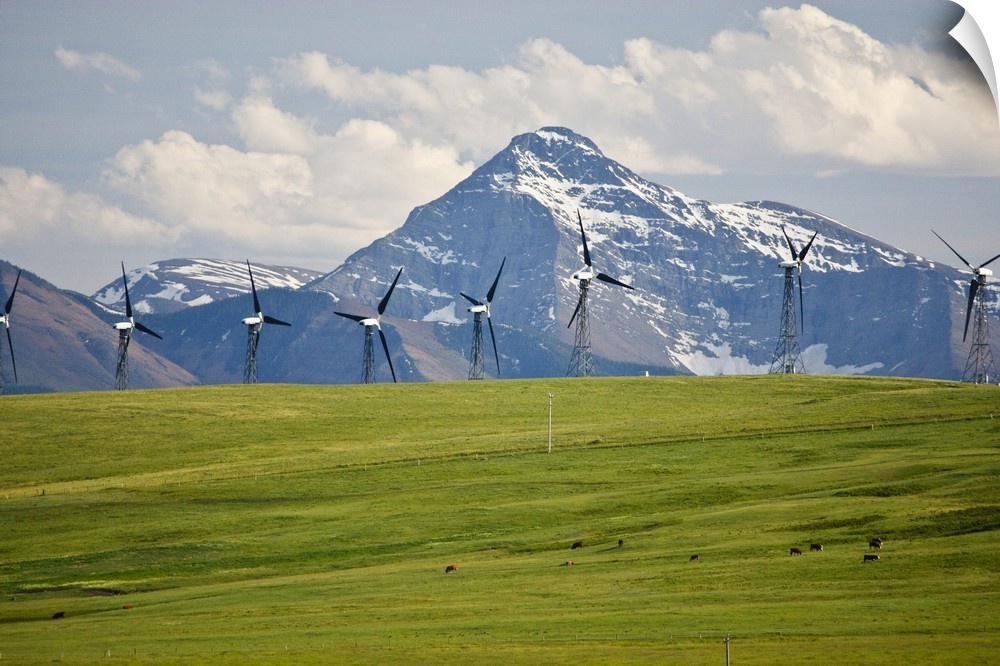 North America, Canada, Alberta, Rocky Mountains south of PIncher Creek, wind turbines and wind farm, June