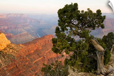 Arizona, Grand Canyon National Park, Grand Canyon at Dawn from Hopi Point