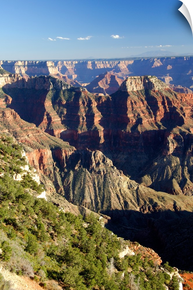 North America, USA, Arizona, Grand Canyon National Park, North Rim. Canyon view with mountains of Flagstaff, Arizona in th...