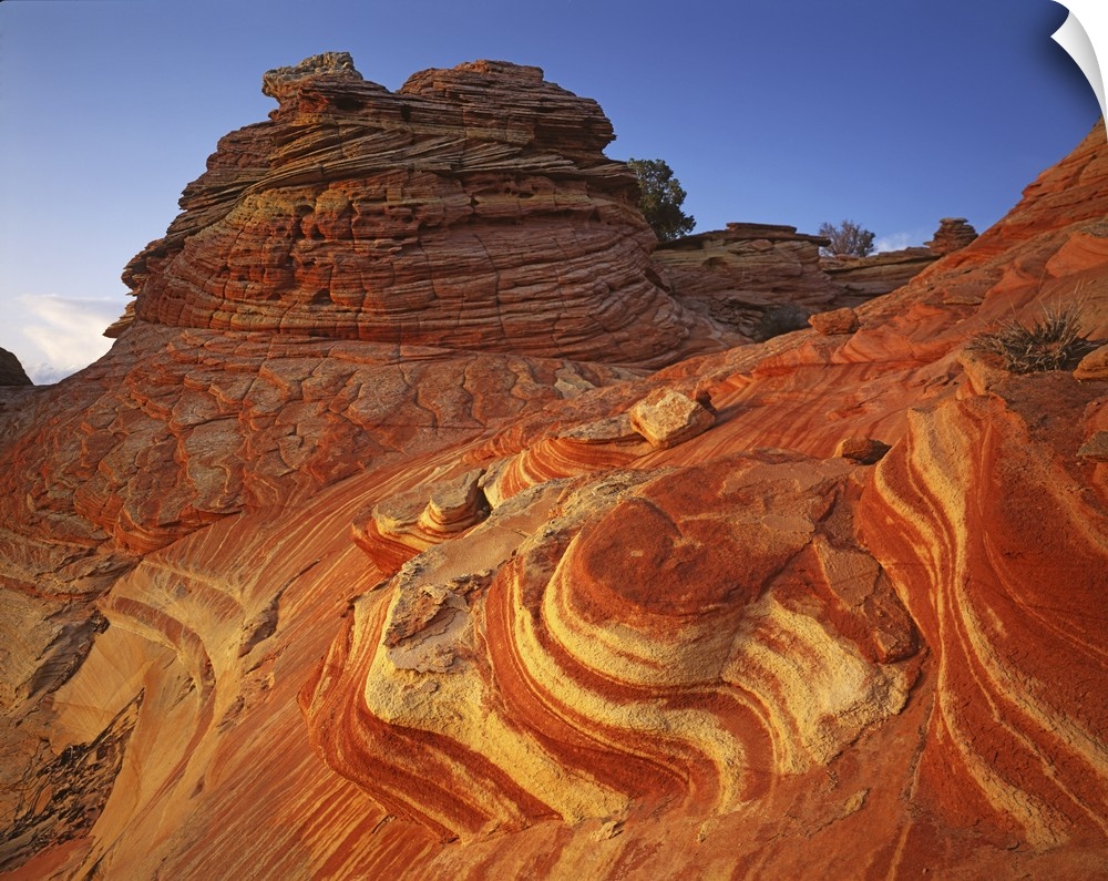 USA, Arizona, Vermilion Cliffs National Monument, Paria-Vermilion Cliffs Wilderness, Sandstone.