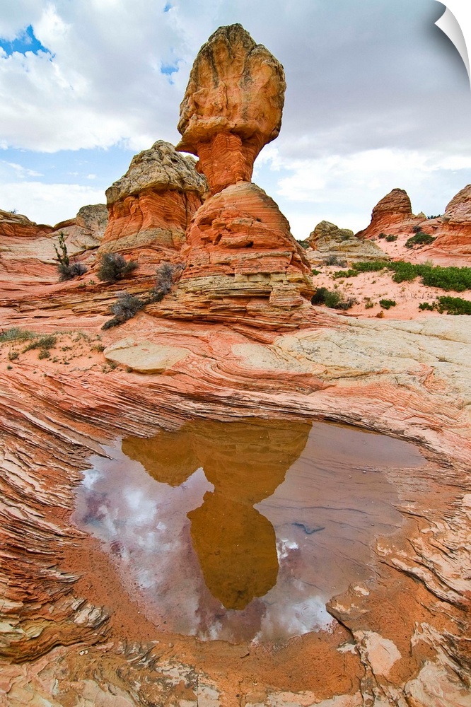 USA, Arizona, Vermillion Cliffs National Monument. Water pool in sandstone formations in South Coyote Buttes.