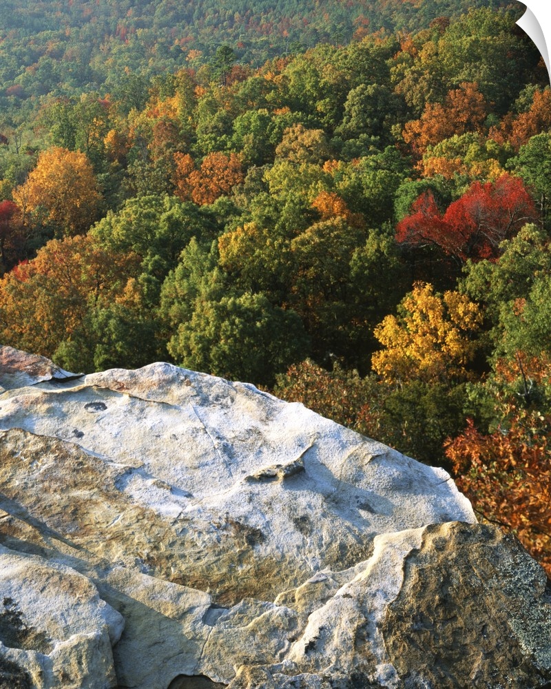 USA, Arkansas, Ozark-St. Francis National Forest, Autumn at White Rocks