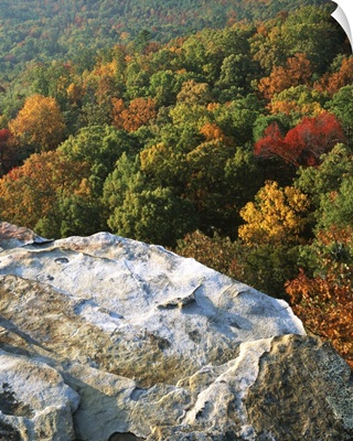 Arkansas, Ozark-St. Francis National Forest, Autumn at White Rocks