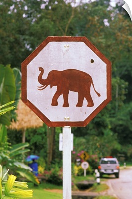 Asia, Thailand, Lampang. Elephant Conservation Center, elephant crossing sign