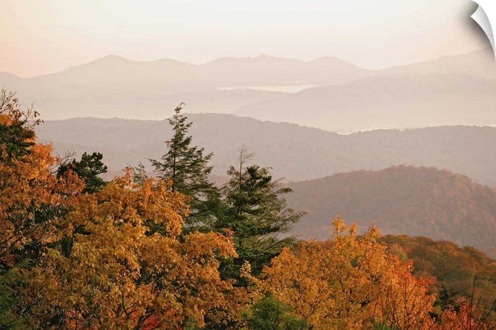 Autumn colors in the southern Appalachian Mountains at sunrise, from Blue Ridge Parkway, Pisgah National Forest, North Car...