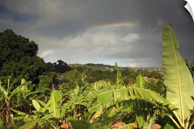 Barbados, St. Joseph Parish, Grey Clouds, Rainbow, Tropical Vegetation