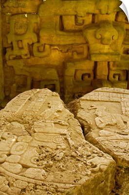 Belize, Caracol, stone carvings of Altar 12, ruins of Classic Period Mayan civilization