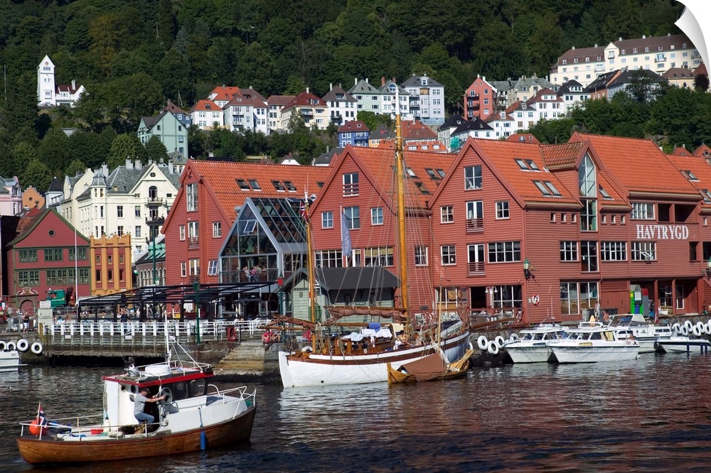 In the back drop of Bryggens ancient buildings  Bergen's harbor offers tours, and mooring for a varity of boats