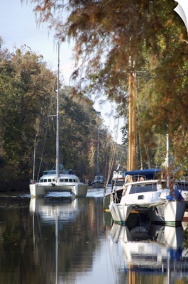 Boating on the Dismal Swamp Canal, Camden County, North Carolina
