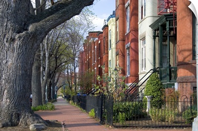 Brick row houses on Capitol Hill in Washington, D.C