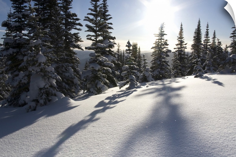 Canada, British Columbia, Smithers. Snow-laden spruce trees cast shadows across sunlit snow. Credit as: Bill Young / Jayne...