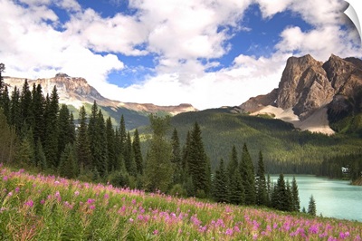 British Columbia, Yoho National Park, View of Emerald Lake and surrounding wilderness
