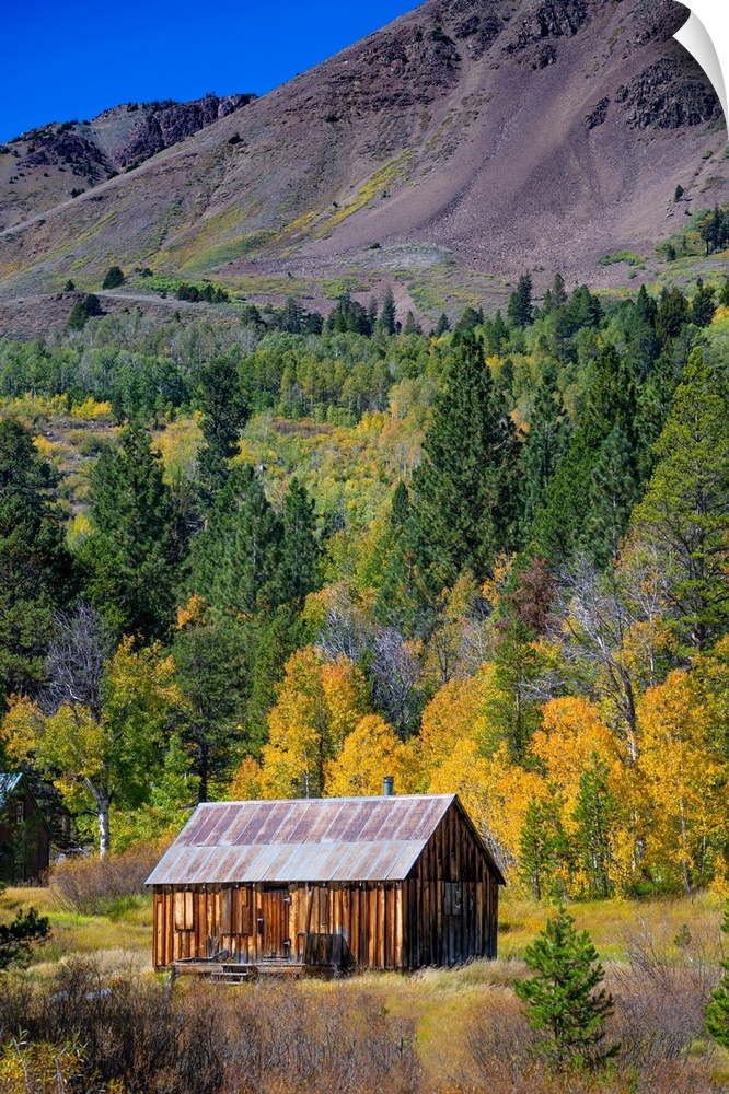 Cabin is in Hope Valley, in the Sierra Nevada, California, USA.