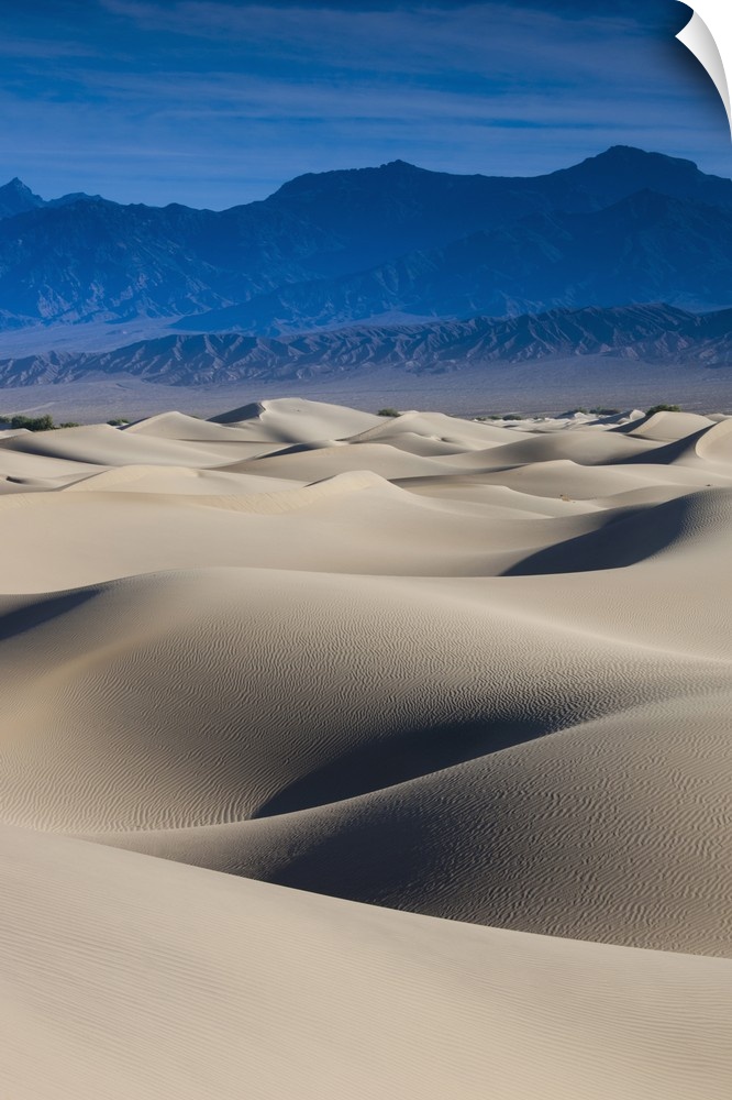 USA, California, Death Valley National Park, Mesquite Flat Sand Dunes, dawn
