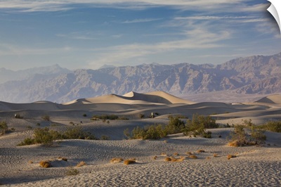 California, Death Valley National Park, Mesquite Flat Sand Dunes, late afternoon