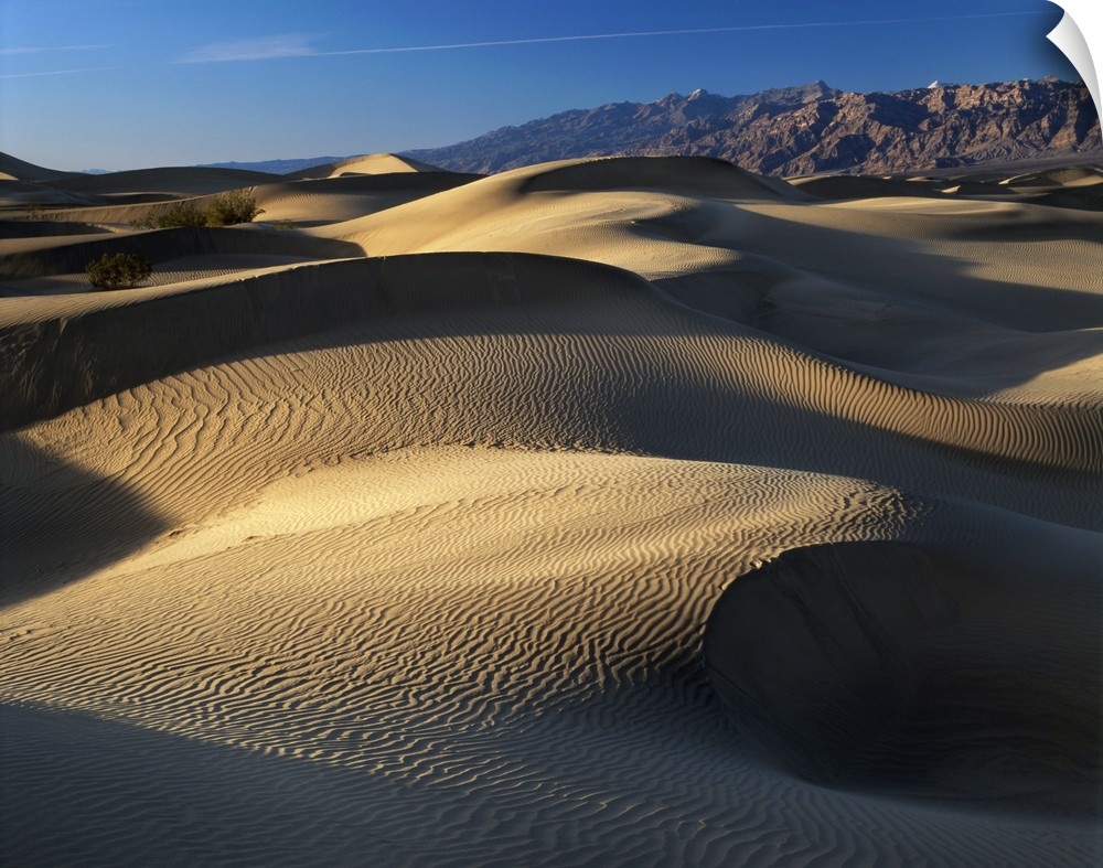 USA, California, Death Valley National Park, Mojave Desert, view of sand dunes at sunset.