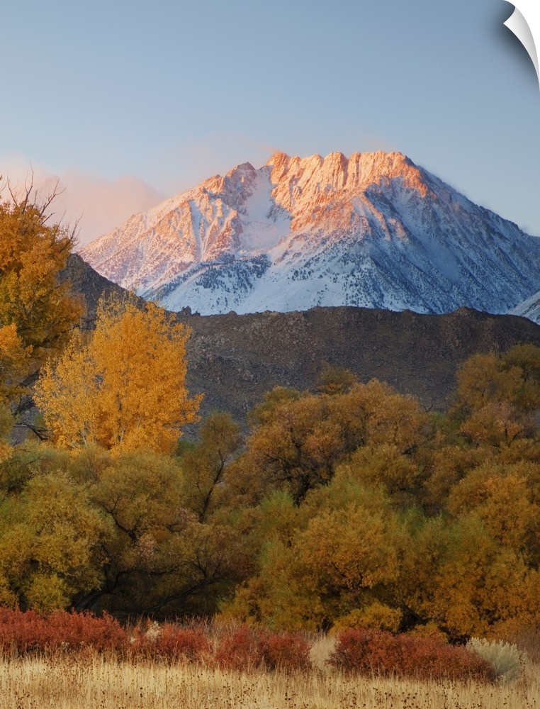 USA, California, Sierra Nevada Mountains. Snow-covered Basin Mountain seen from the floor of the Owens Valley.