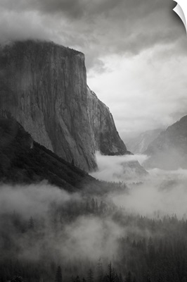 California. Yosemite National Park. El Capitan with swirling mist through the forest