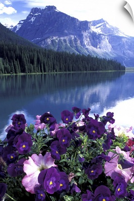 Canada, Alberta, Banff National Park. Pansies and Emerald Lake