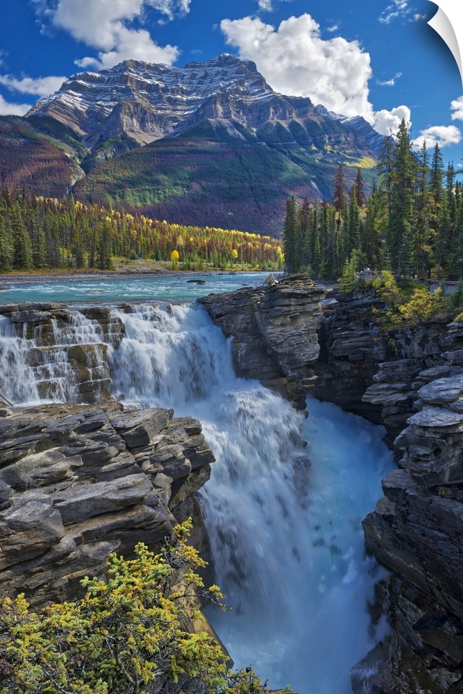 Canada, Alberta, Jasper national park. Athabasca river at Athabasca falls.