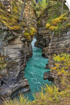 Canada, Alberta, Jasper National Park, Athabasca River At Athabasca Falls