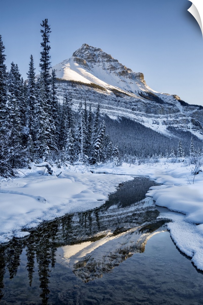 Canada, Alberta, jasper national park, tangle peak reflected in beauty creek.