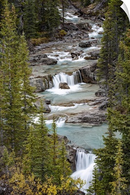 Canada, Alberta, Nigel Creek, Banff National Park