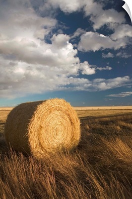 Canada, Alberta, Stand Off, Landscape with Dramatic Sky and Hay Roll