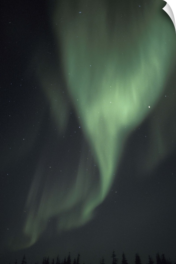 NA, Canada, Manitoba, Churchill.Northern lights (Aurora borealis)