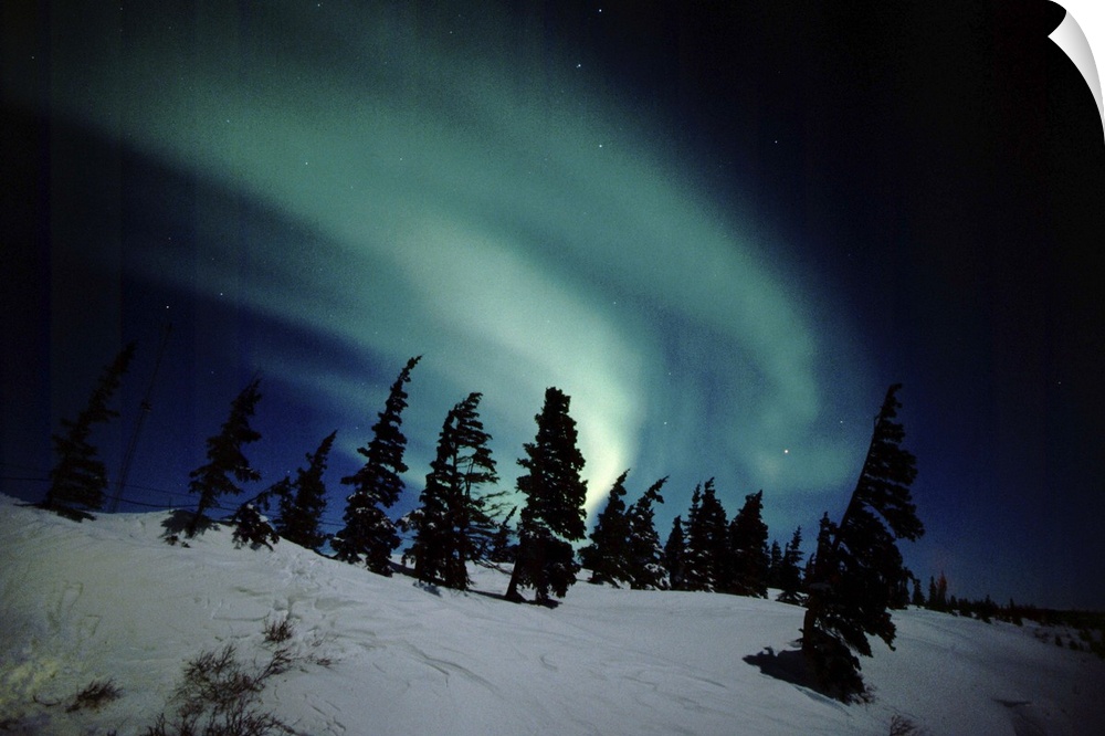 North America - Canada - Manitoba - Churchill. Northern Lights aka Aurora Borealis.
