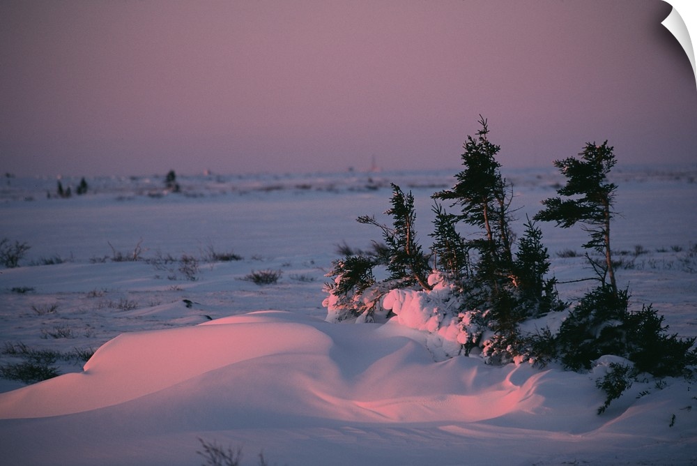 N.A., Canada, Manitoba, Churchill.Sunrise in Churchill