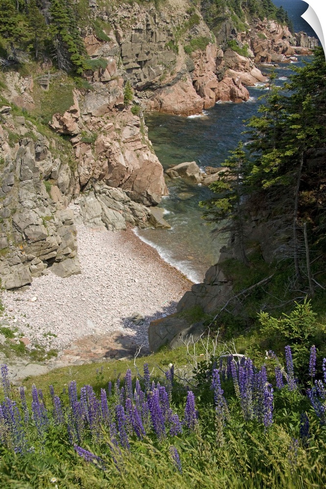 Canada, Nova Scotia, Cape Breton Island, Cabot Trail, Ingonish.