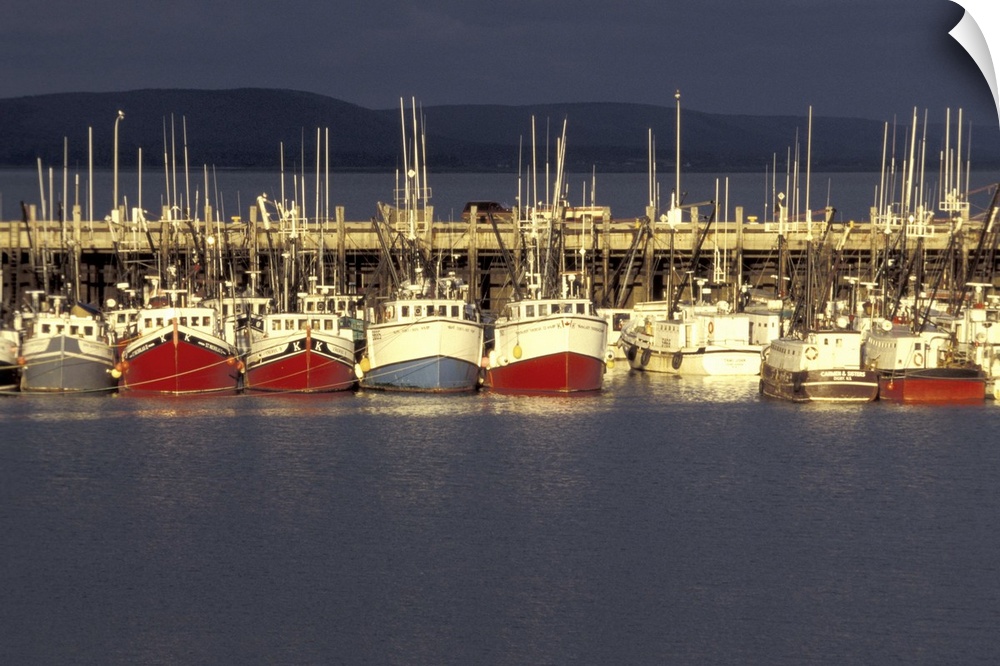 NA, Canada, Nova Scotia, Digby.Digby scallop fleet