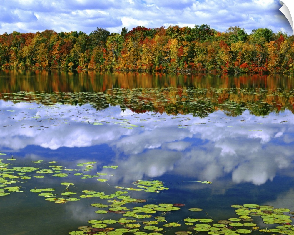 Canada, Ontario. Autumn-colored trees reflect in Park Haven Lake. Credit as: Dennis Flaherty / Jaynes Gallery / DanitaDeli...