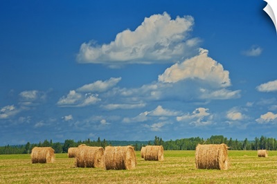 Canada, Ontario, New Liskeard, Hay Bales In Farm Field