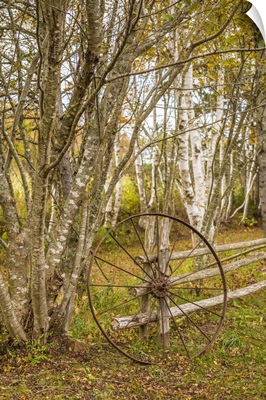 Canada, Prince Edward Island, Orwell, Wagon Wheel And Birch Trees