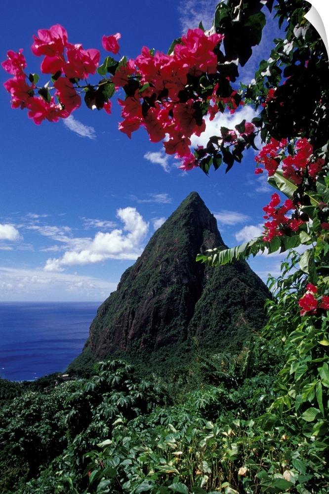 Caribbean, BWI, St. Lucia, View of the Pitons from Ladera Resort.