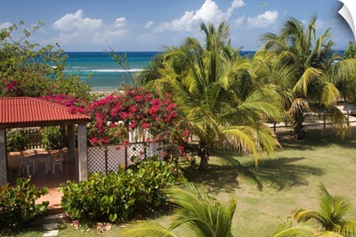 Caribbean, Puerto Rico, Vieques, garden and palm trees