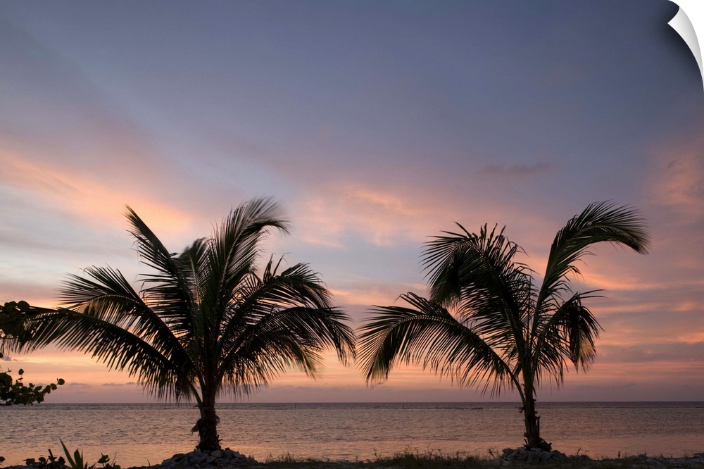 Cayman Islands, Little Cayman Island, Silhouette of palm trees as sunset lights clouds above Caribbean Sea