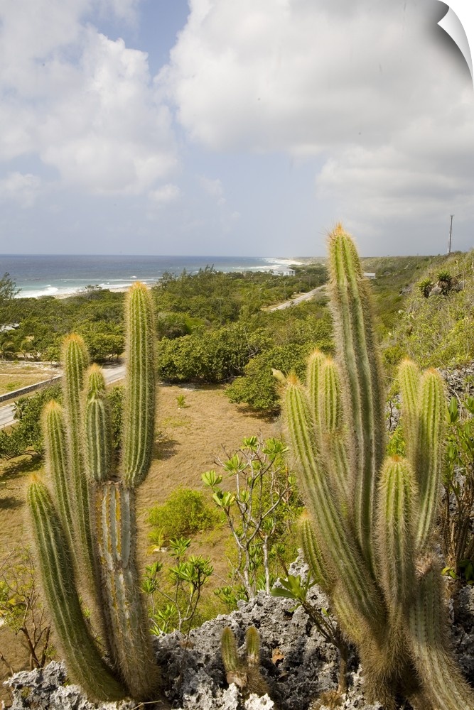 Central Bluff overlook, Cayman Brac, Cayman Islands, Caribbean.