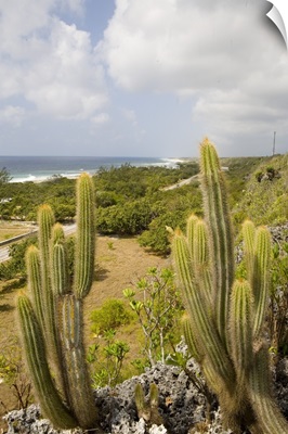 Central Bluff overlook, Cayman Brac, Cayman Islands, Caribbean