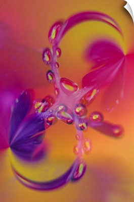 Close-Up Of Flower Reflected In Waterdrop