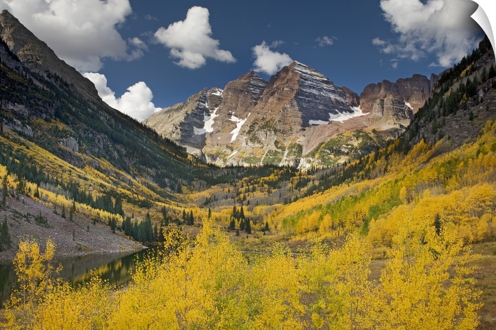 USA, Colorado, Maroon Bells State Park. Aspen trees in autumn color. Area