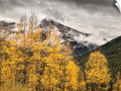 Colorado, Silverton, Clearing storm and fall color on the Alpine Loop