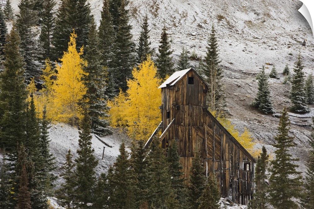 USA, Colorado, Uncompahgre National Forest, Red Mountain Pass. An abandoned mine surface structure surrounded by trees in ...