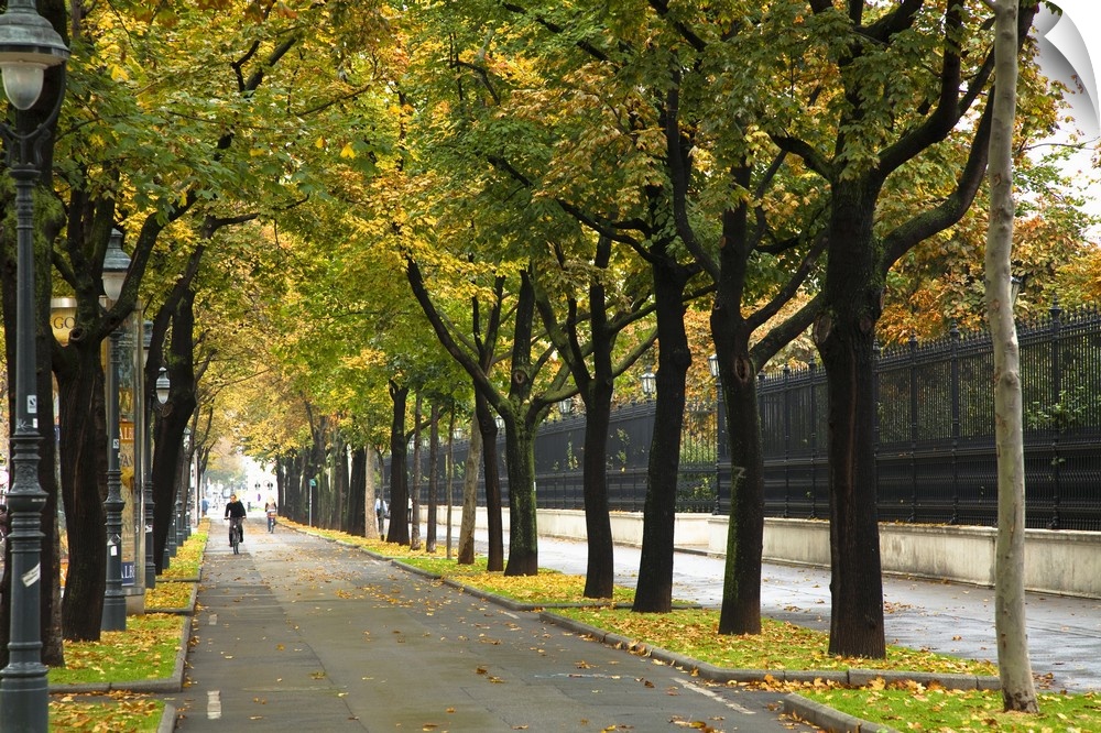 Copenhagen, Denmark - A city bike path near a park is lined with trees. In the background is a person riding a bike. Horiz...