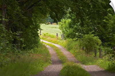 Country Road. Through The Forest. Smaland Region. Sweden, Europe