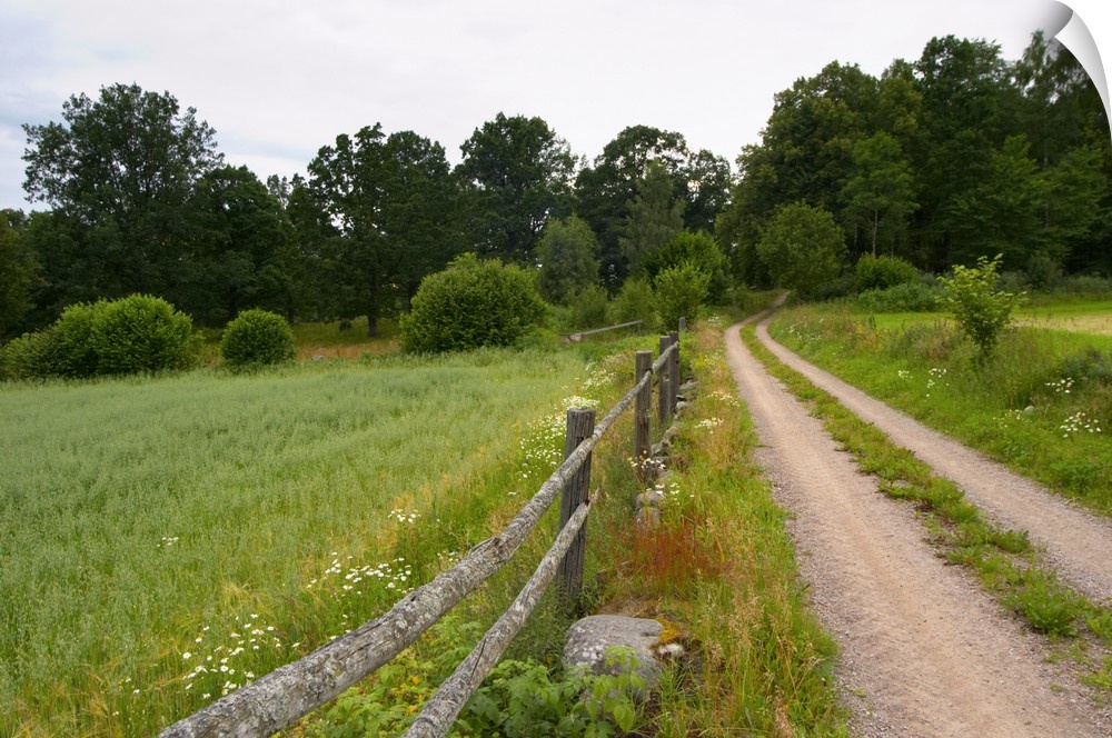 Country road, wooden fence and field. Through the forest. Smaland region. Sweden, Europe.